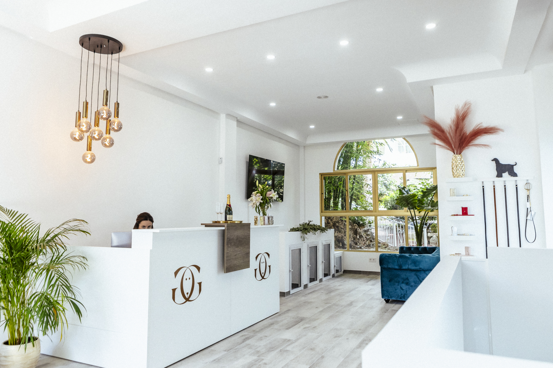 Glamdog: Salon De Belleza Canino